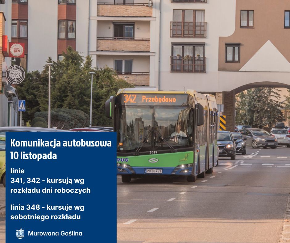 urząd i autobusy.jpg