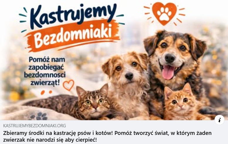 bezdomniaki.jpg