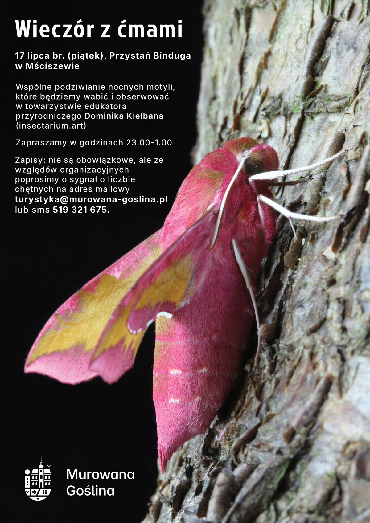 wieczór z ćmami plakat.jpg