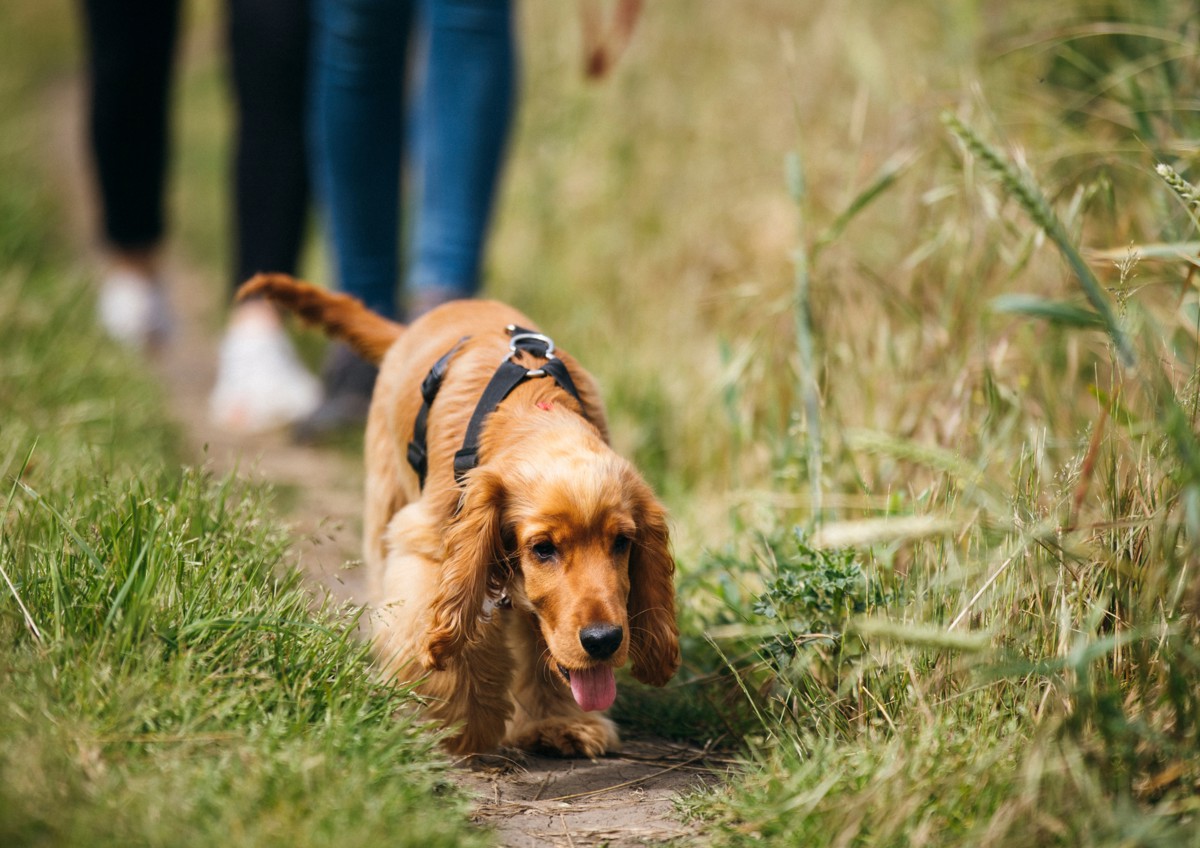 Black and White Minimalist Blank A4 Document Landscape.png