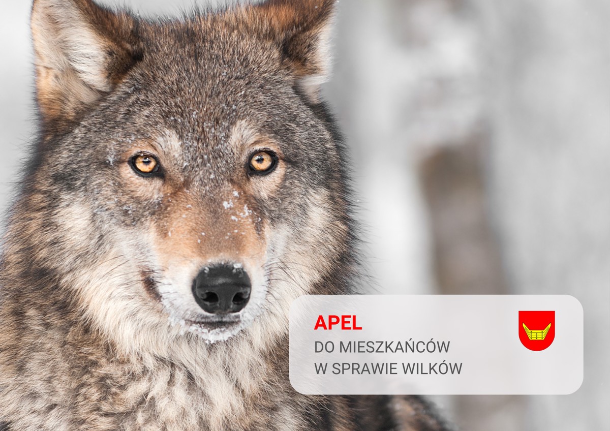 Black and White Minimalist Blank A4 Document Landscape.png