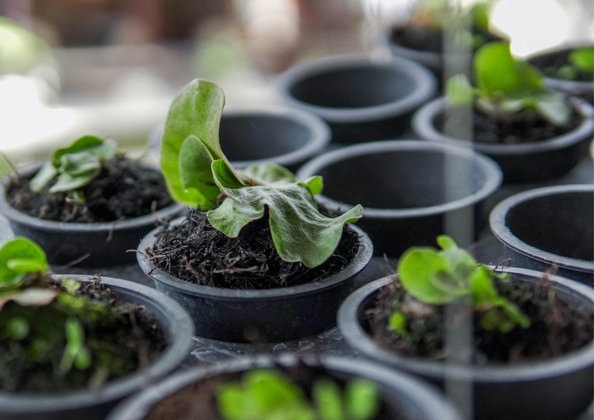 Black and White Minimalist Blank A4 Document Landscape.png