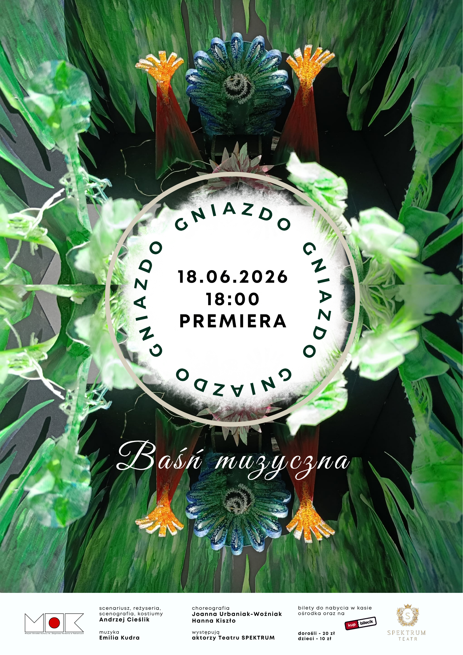 Gniazdo pion.png