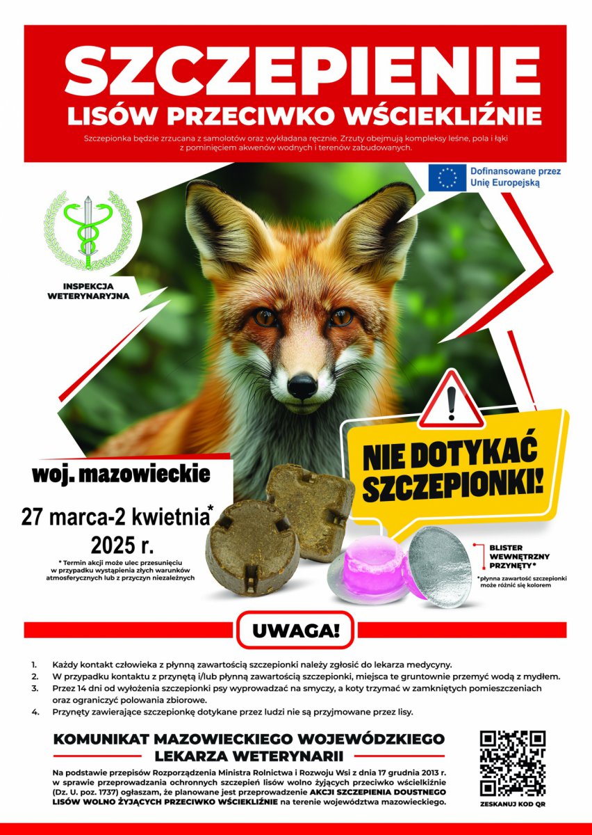 szczepienie lisów.jpg