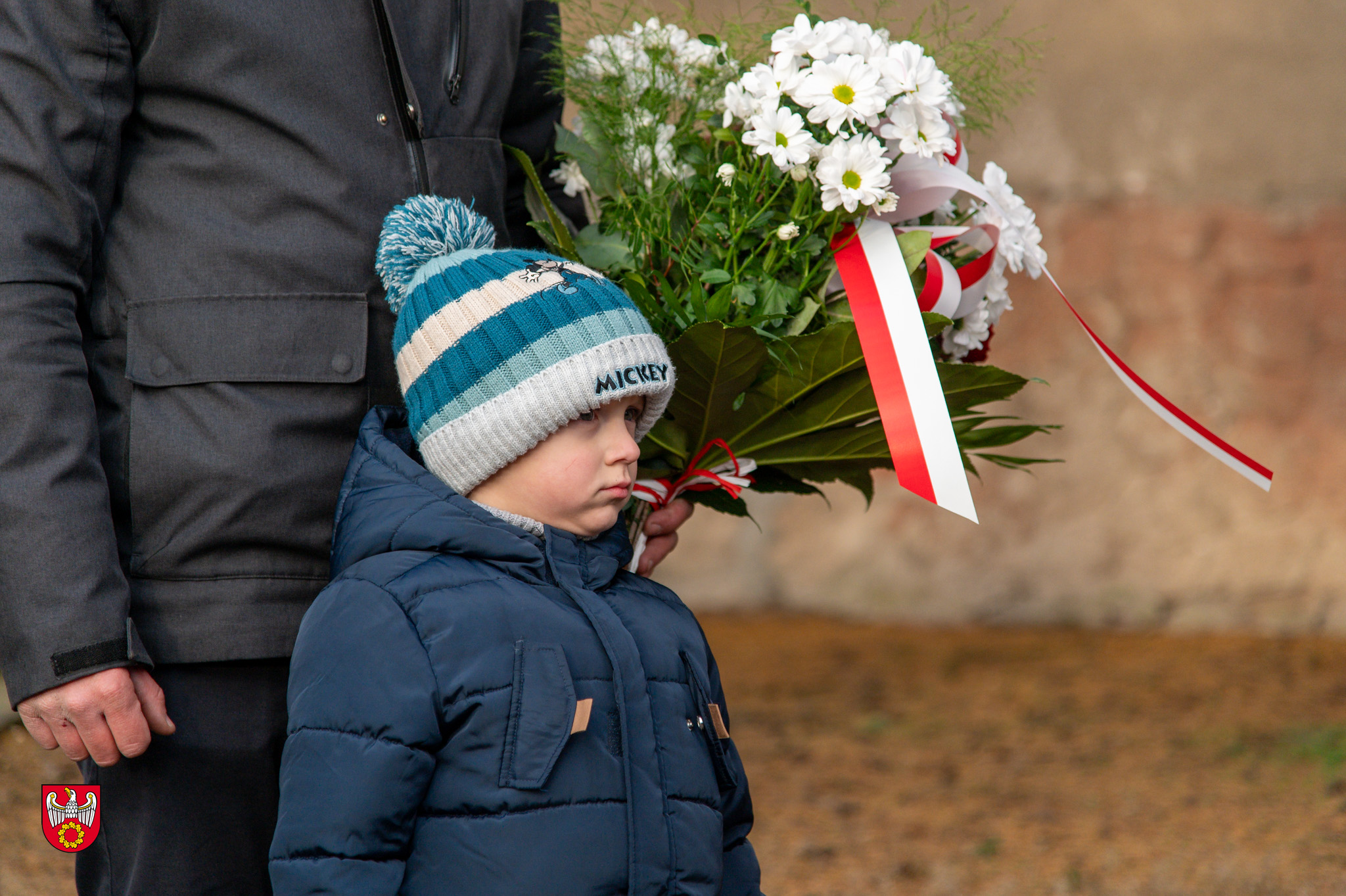 Powiat pilski -14.jpg