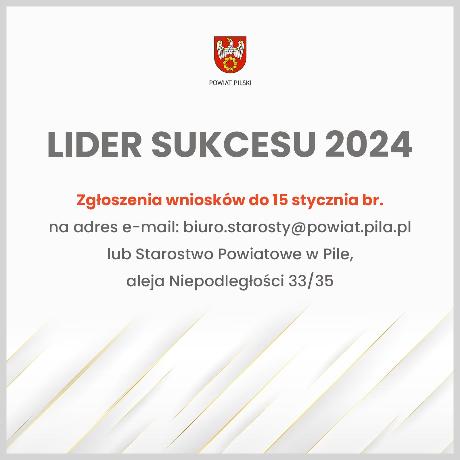 lider 7.png
