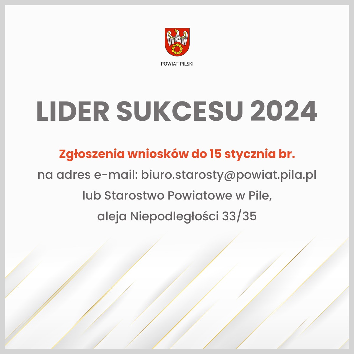 lider 7.png