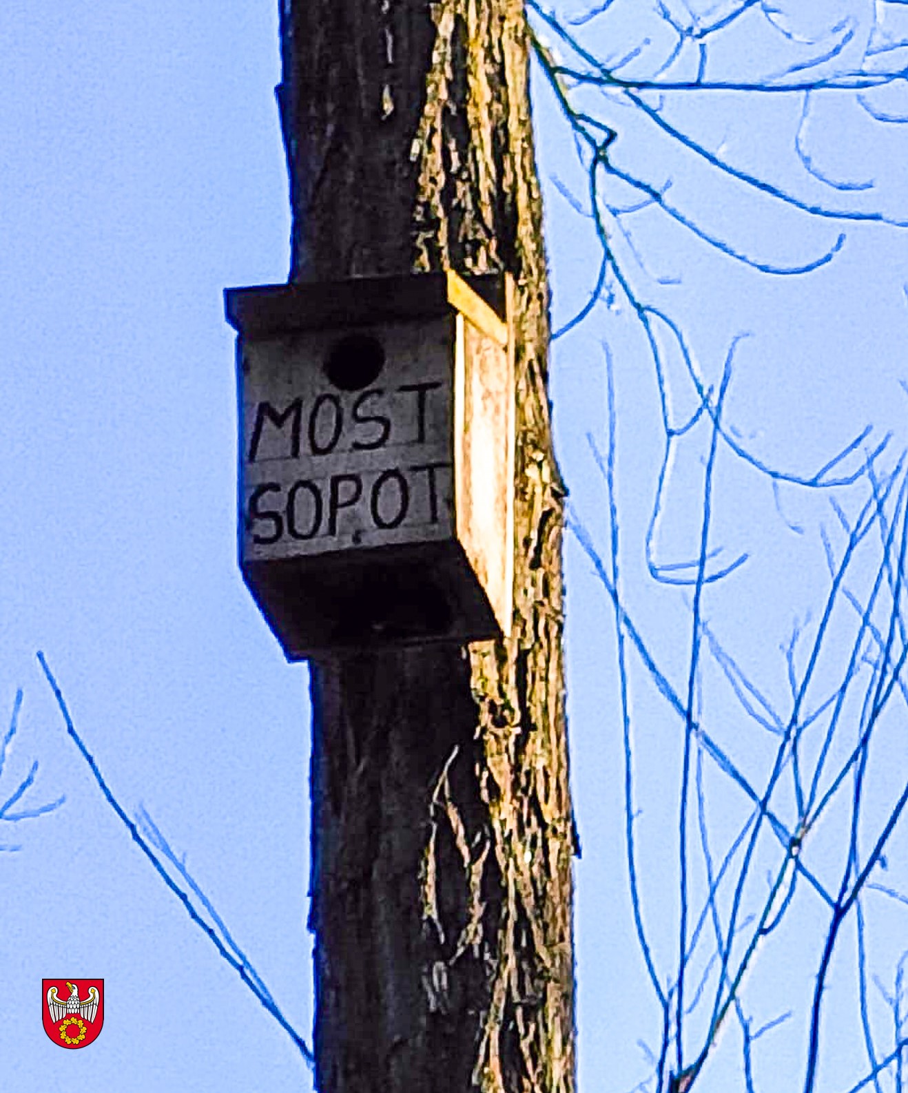 Powiat pilski -16.jpg