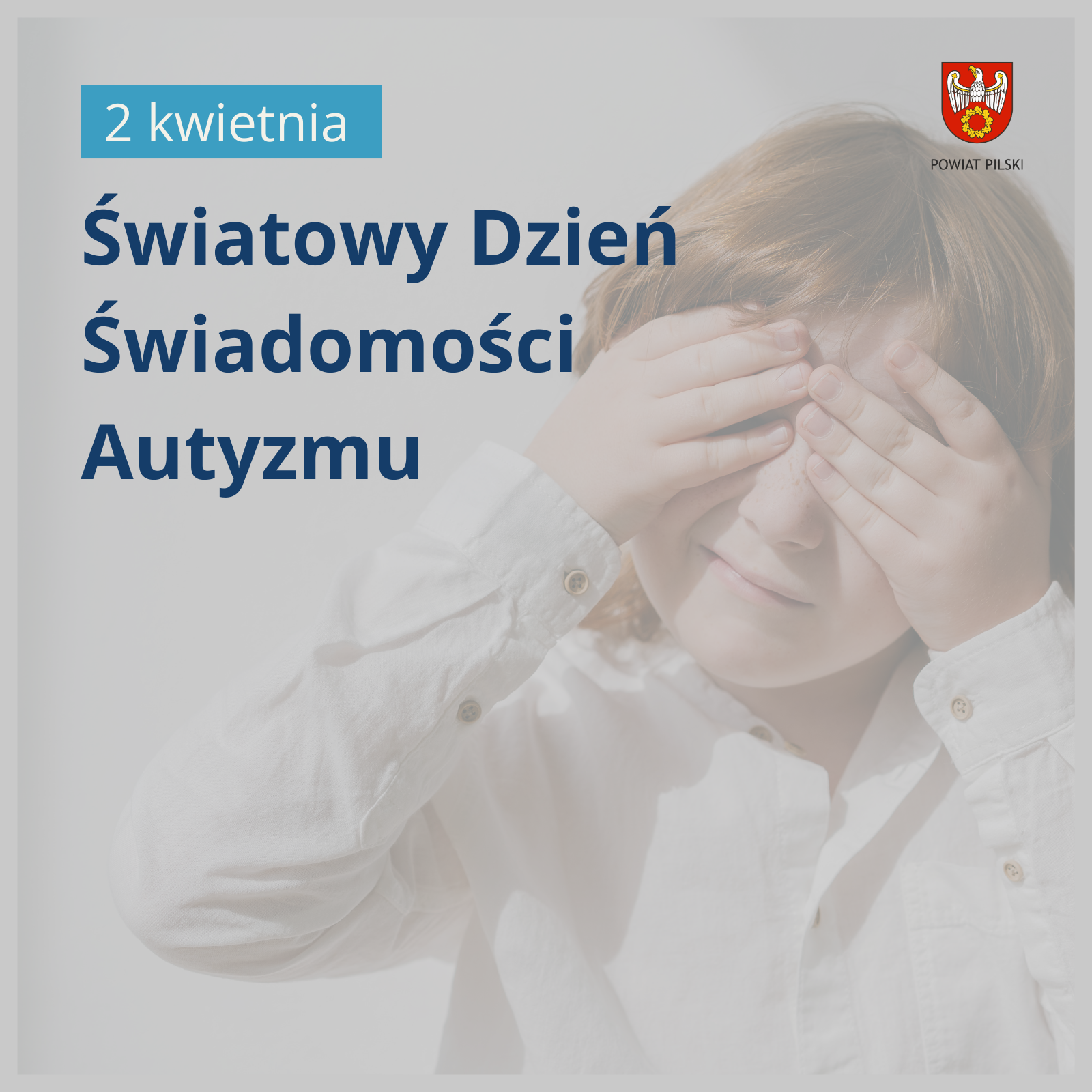 grafika.png