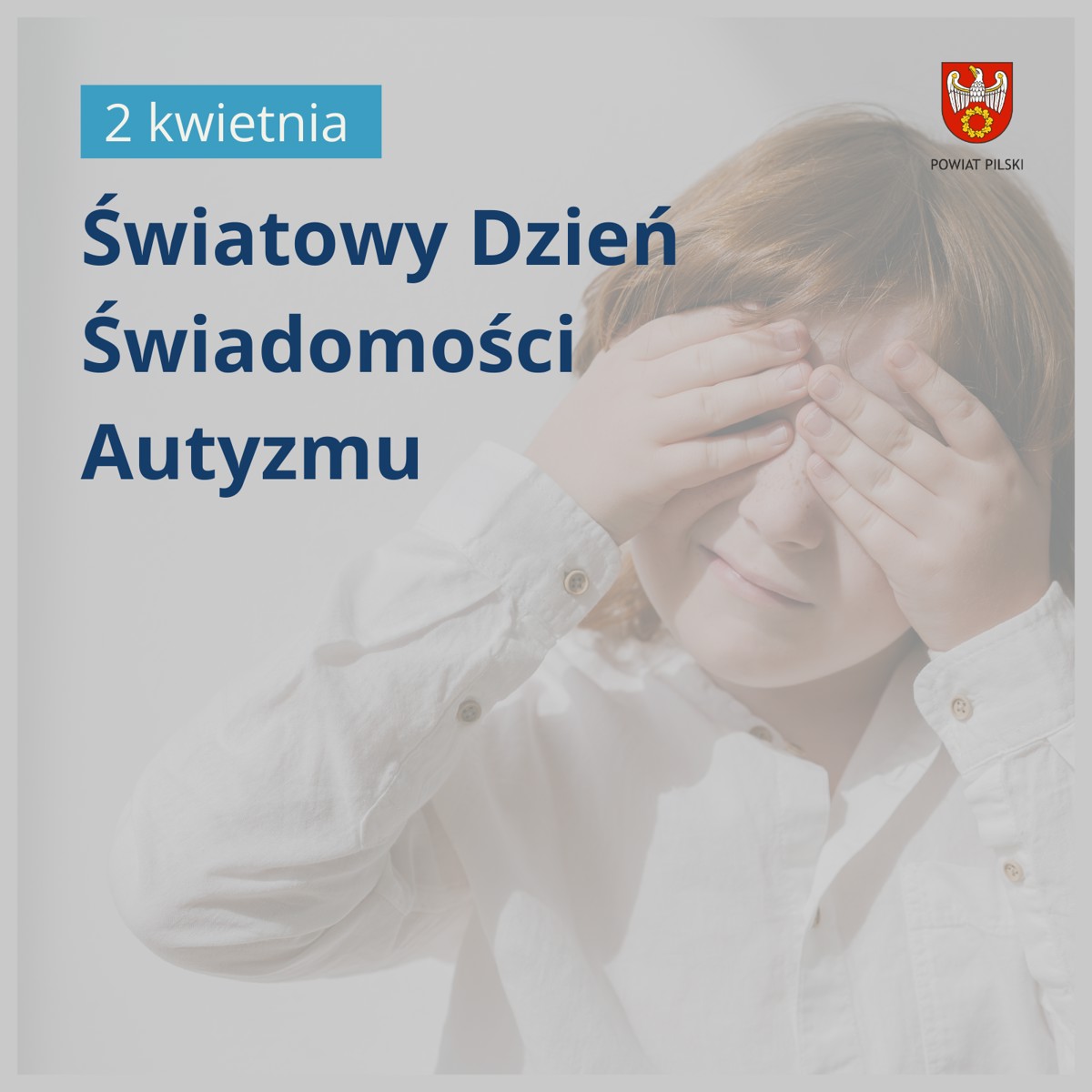 grafika.png