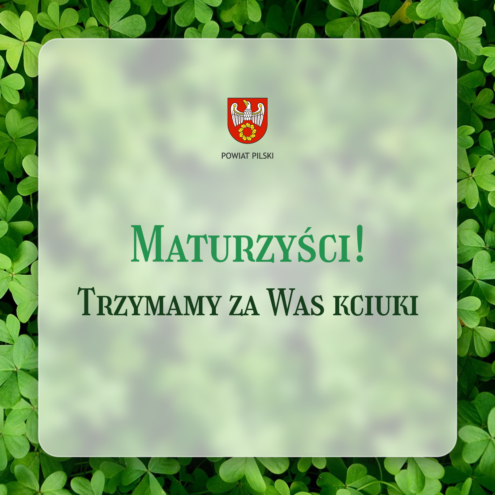 koniczyna.png