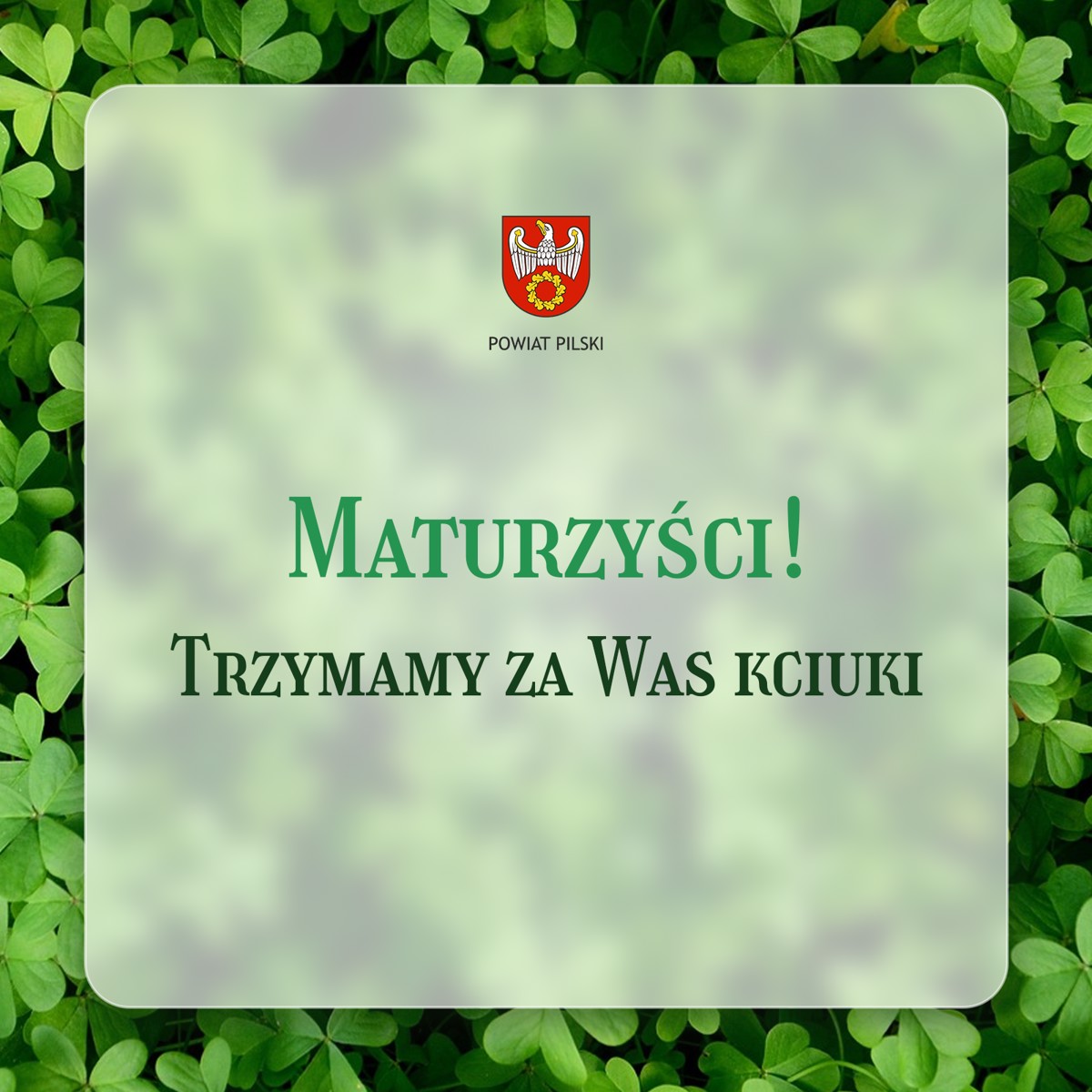 koniczyna.png