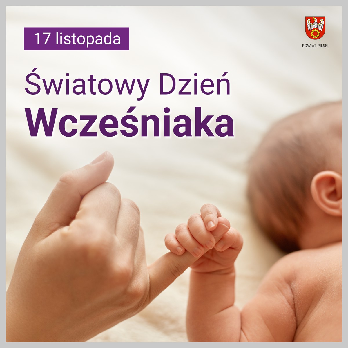 wczesniak.png