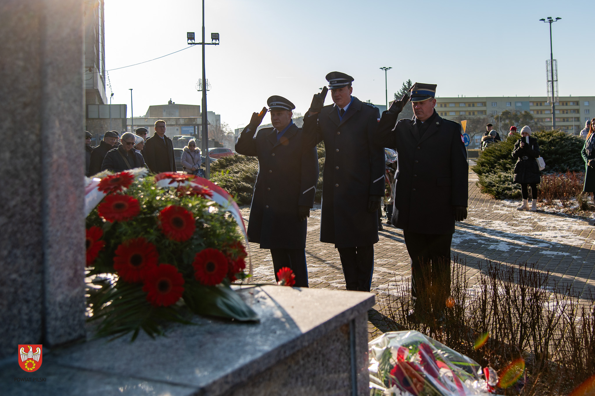 Powiat Pilski-26.jpg