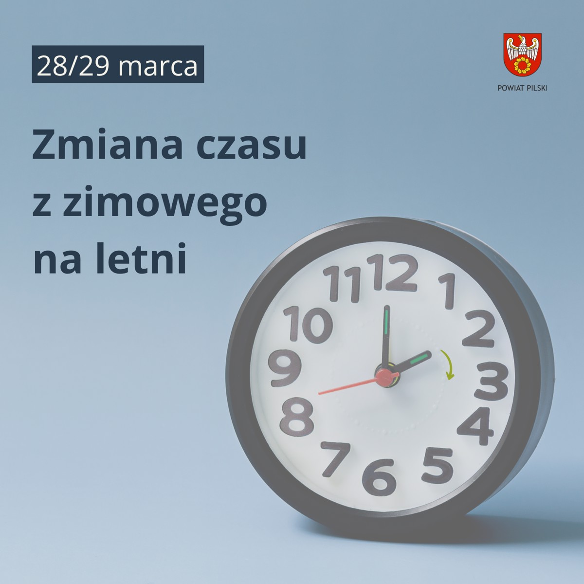 grafika – kopia (3).png