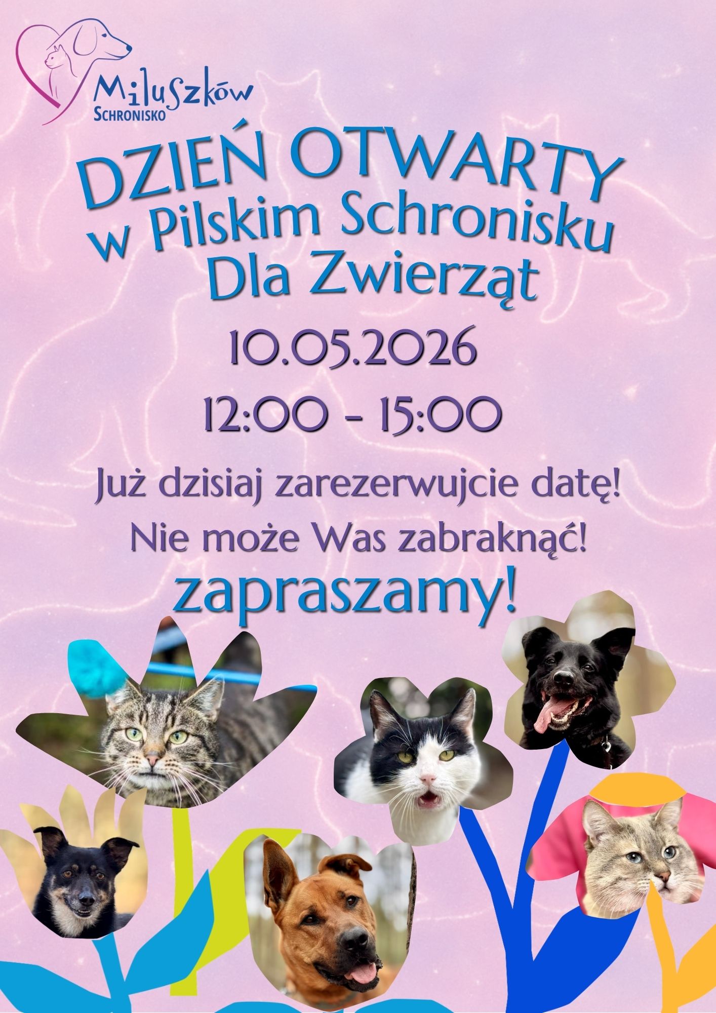 schronisko.jpg