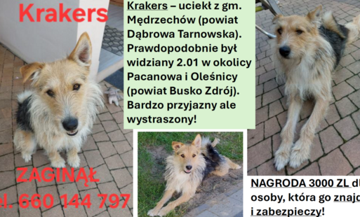 rss.png