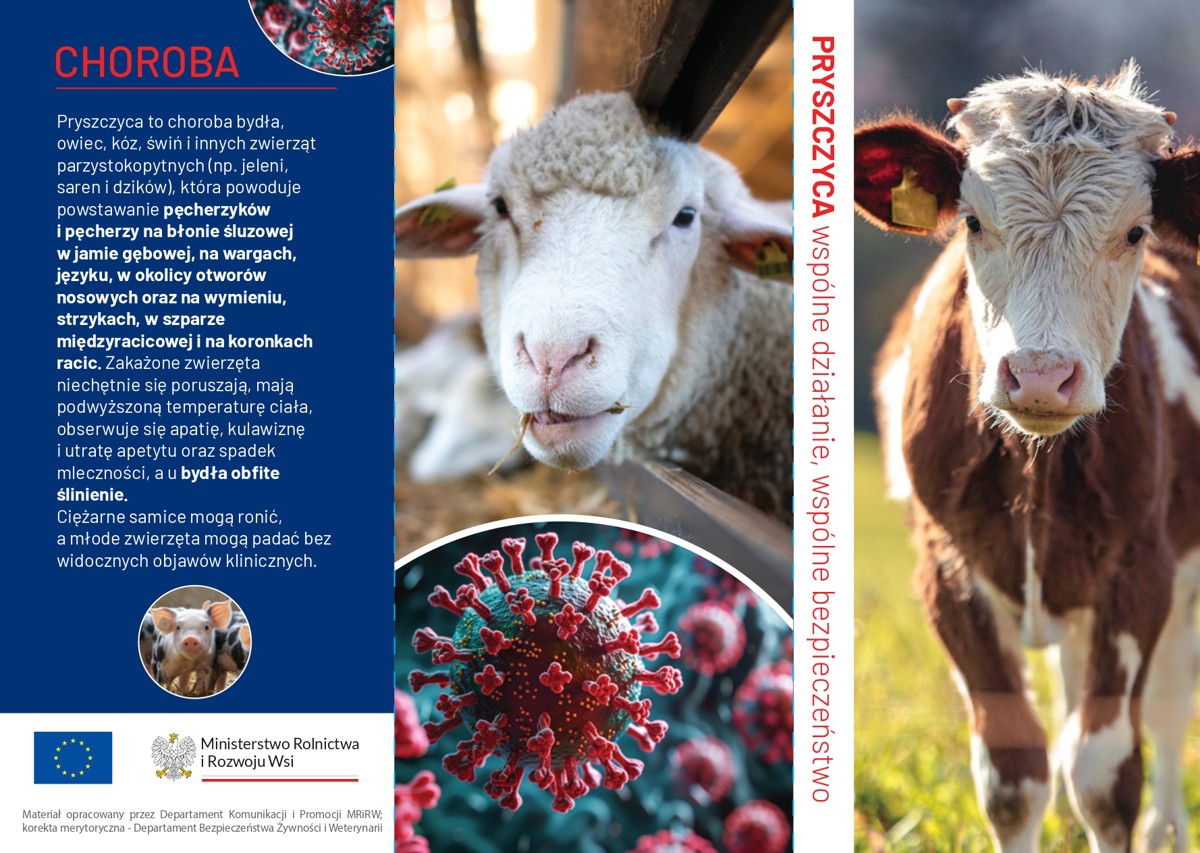 Ulotka_pryszczyca_1.jpg