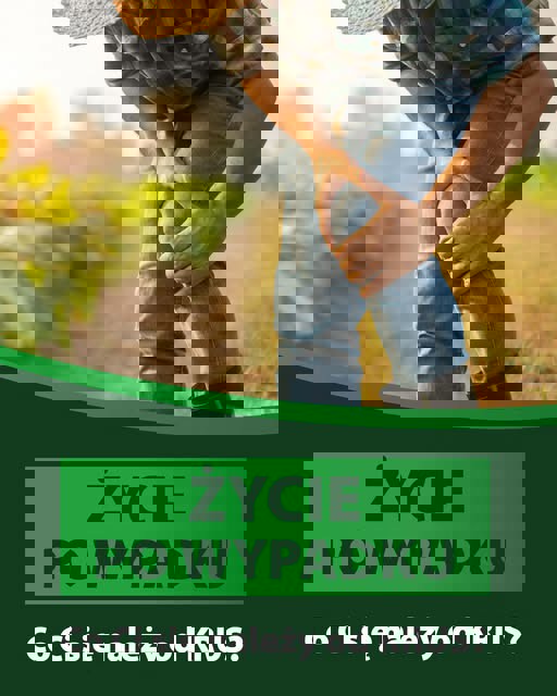 wypadek przy pracy.jpg