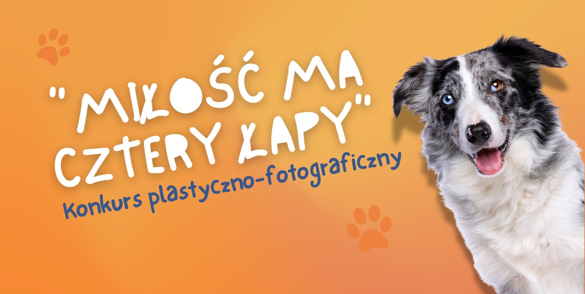 Baner na stronę(62).png