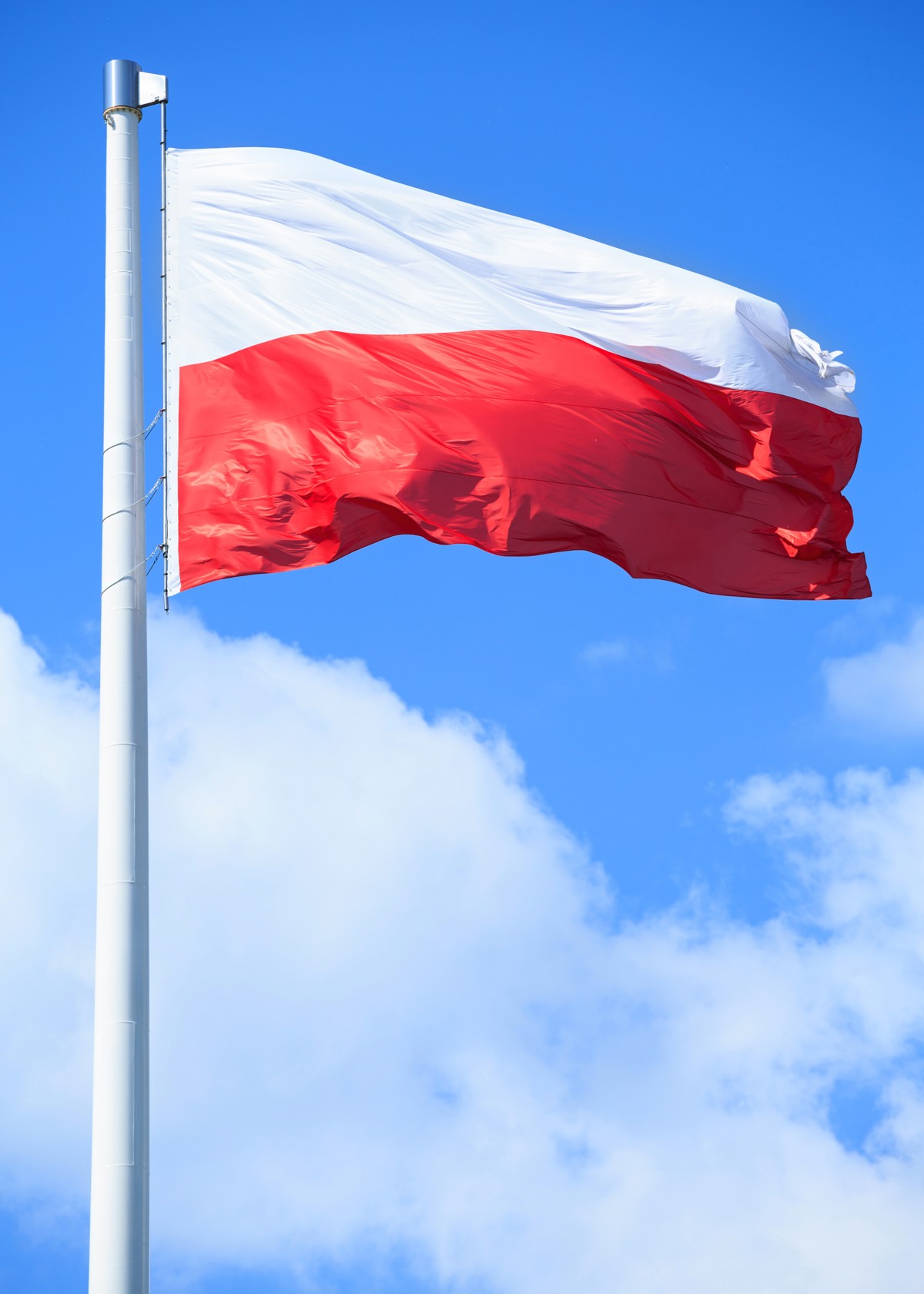 Flaga Polski.png
