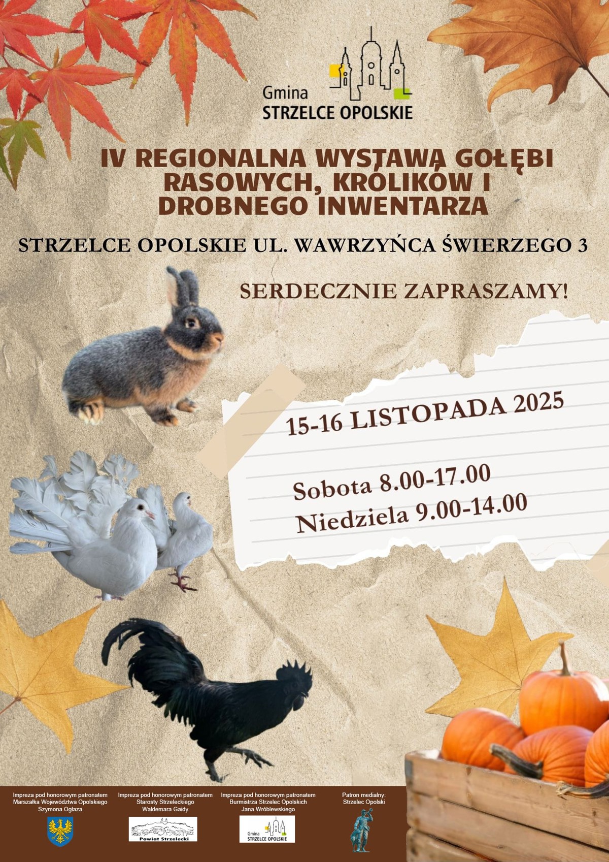 wystawa_gołębi.jpeg