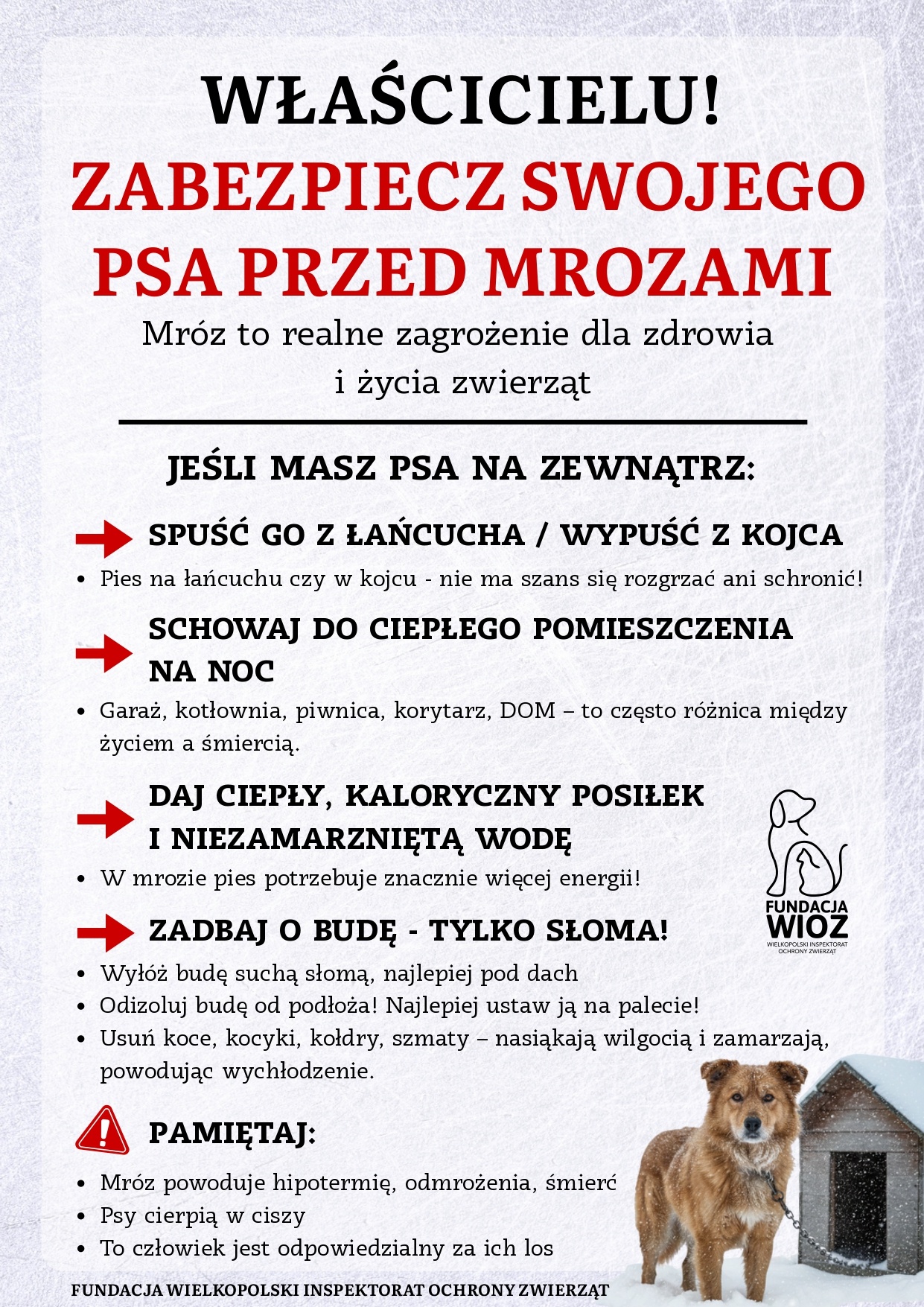 ZIMA - WIOZ_page-0001.jpg