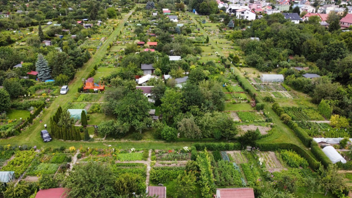 Świdnica wspiera ogrody działkowe – trwa nabór wniosków o dofinansowanie.jpg