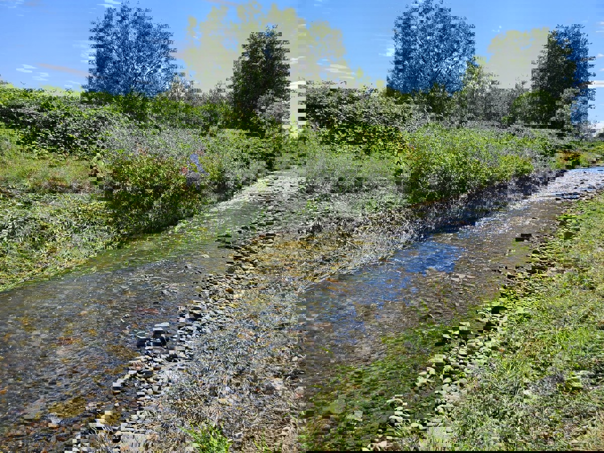 Zadbają o brzegi Bystrzycy - Świdnica i Wody Polskie podpiszą porozumienie.jpeg