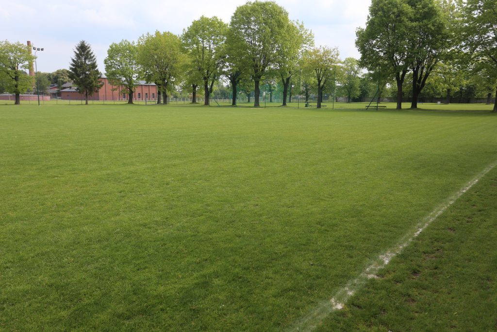 Świdnica z wojewódzkim dofinansowaniem na modernizację infrastruktury sportowej.jpg