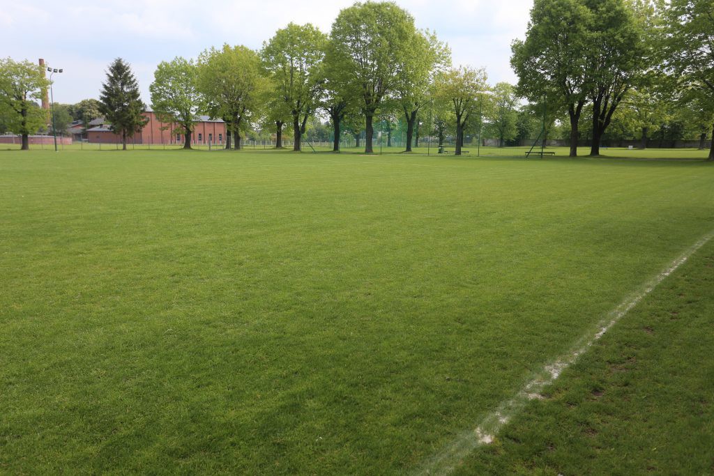 Świdnica z wojewódzkim dofinansowaniem na modernizację infrastruktury sportowej.jpg