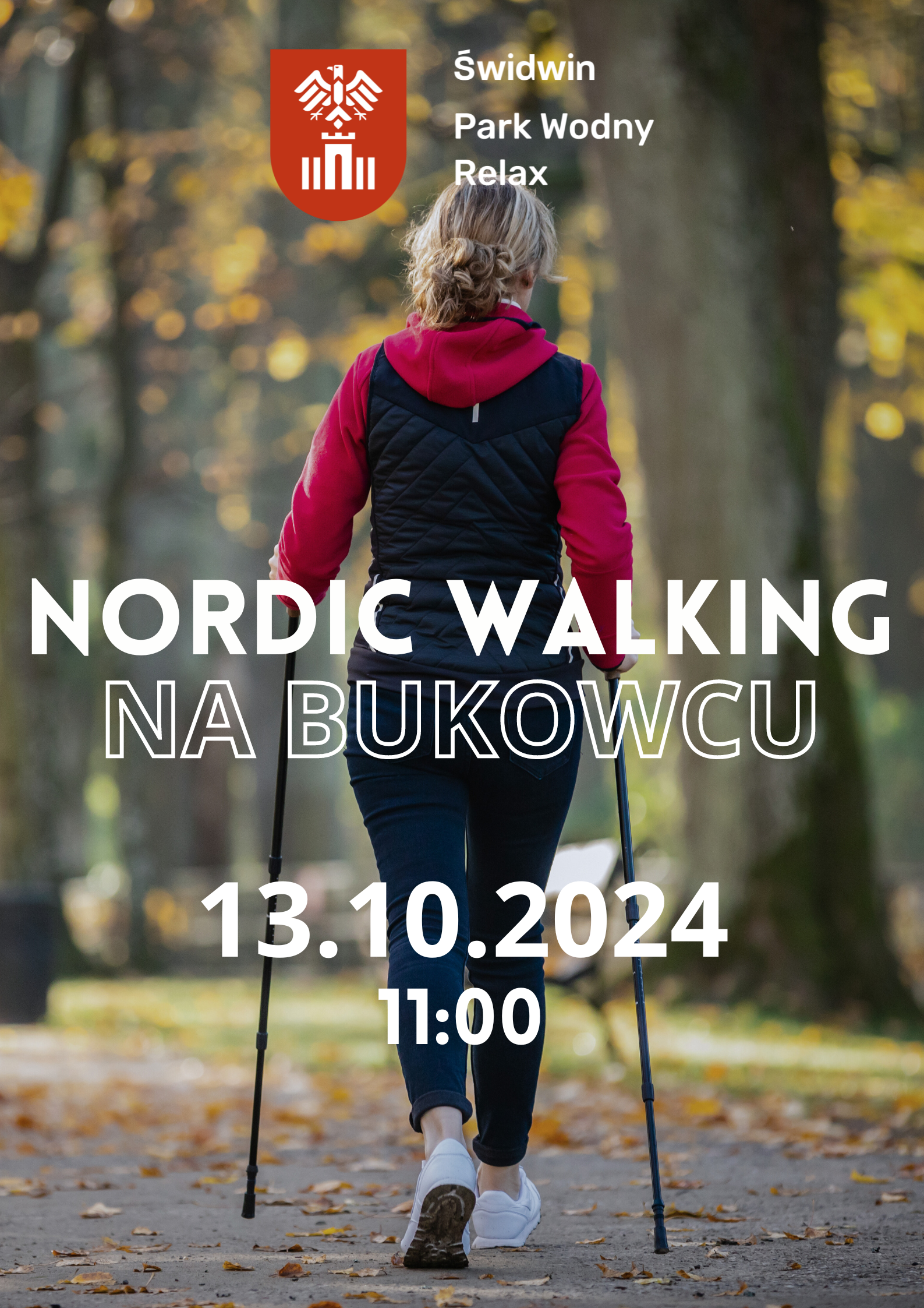 nordic walking.png