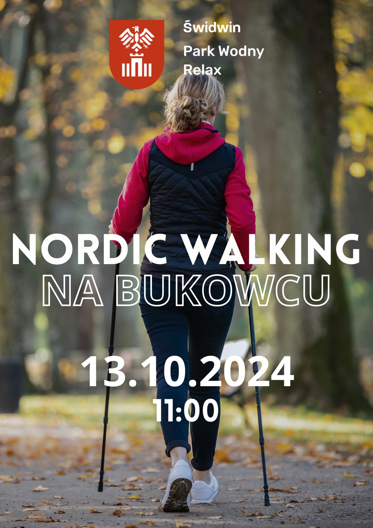 nordic walking.png