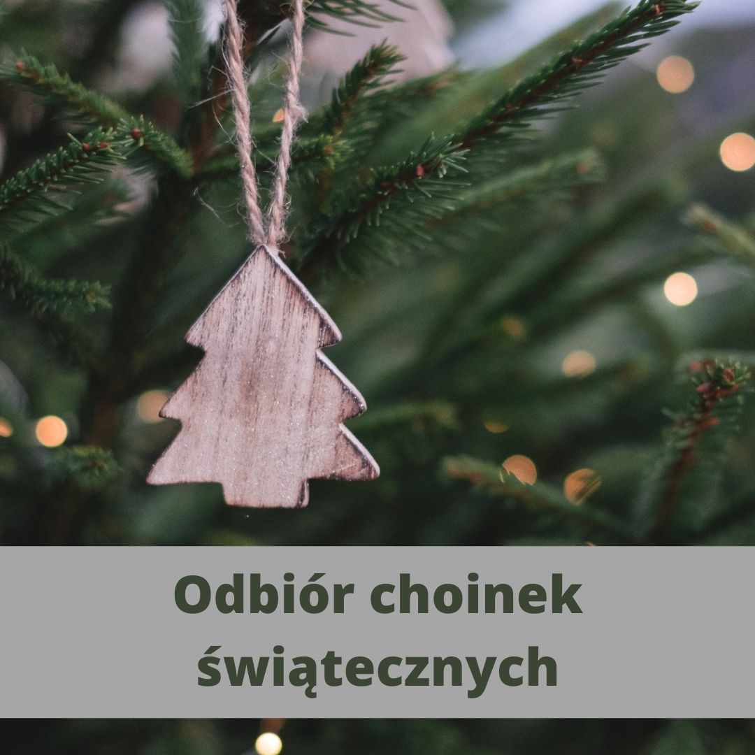Odbior-choinek-swiatecznych.jpg