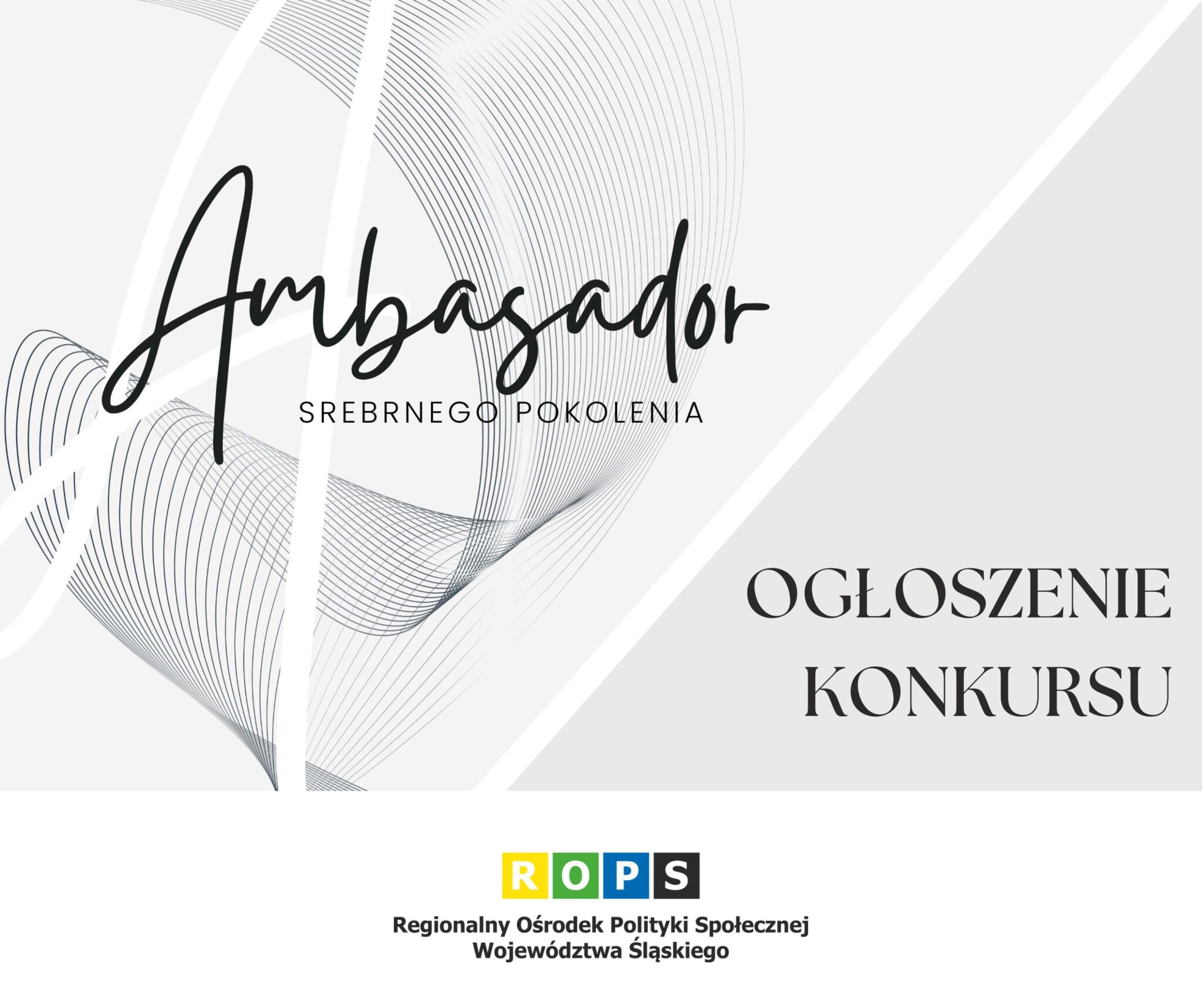 Ambasadorzy Srebrnego Pokolenia.jpg