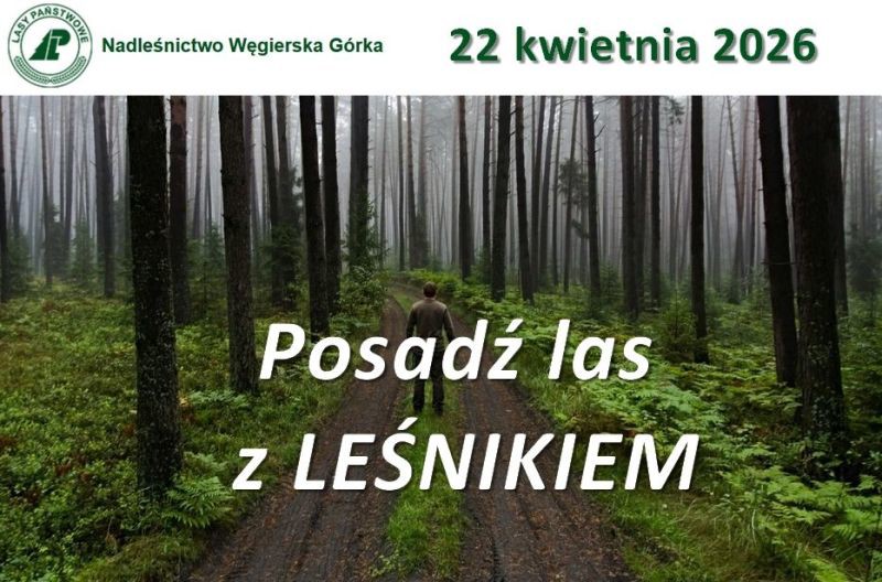 nadlesnictwo-wegierska-gorka-800x600-s.jpg
