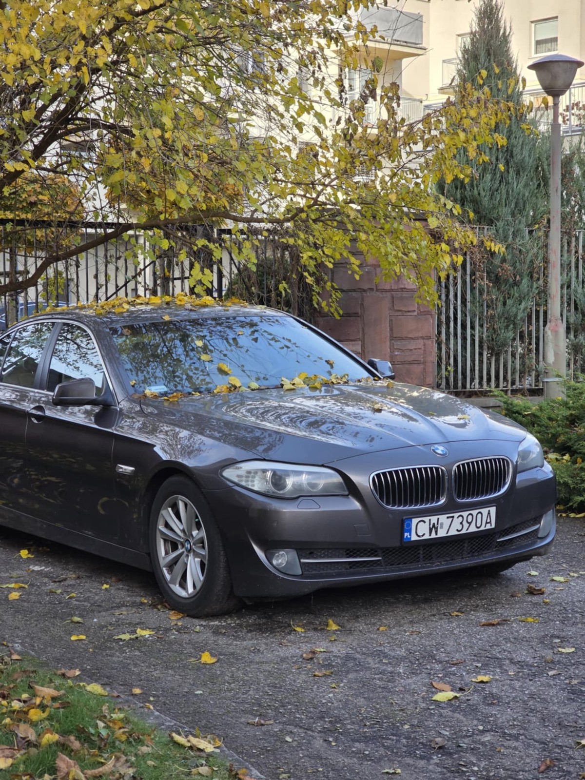 bmw do sprzedaży.jpg