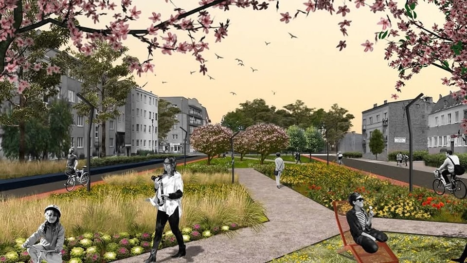 zielone terny na stronę.jpg