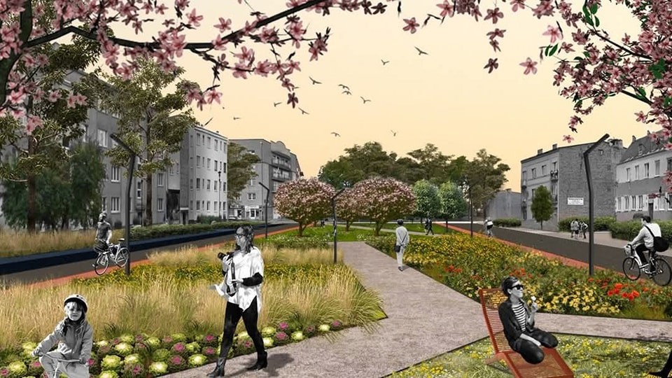 zielone terny na stronę.jpg