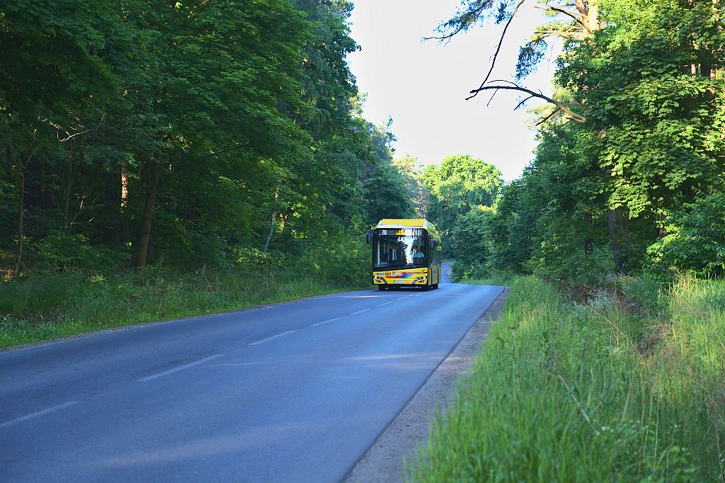 autobus jedzie przez las ok.jpg