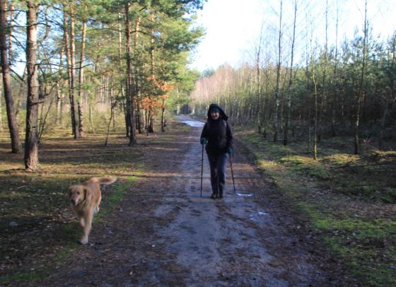 ścieżka dydaktyczna na terenie nadleśnictwa włocławek.jpg