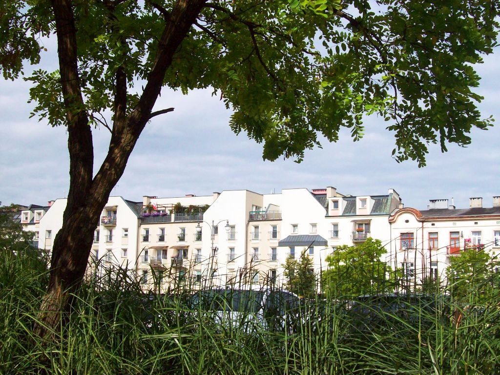 warsztaty o niskiej emisji ilustracja.jpg