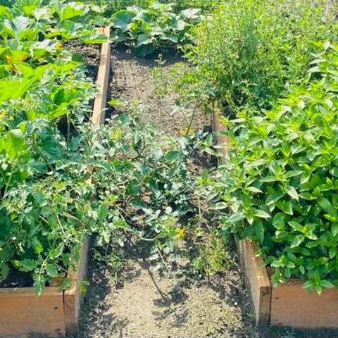 zielone miejsce konkurs26.jpg