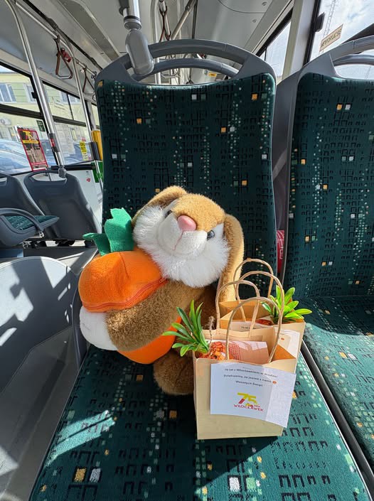 zajączek w autobusie.jpg