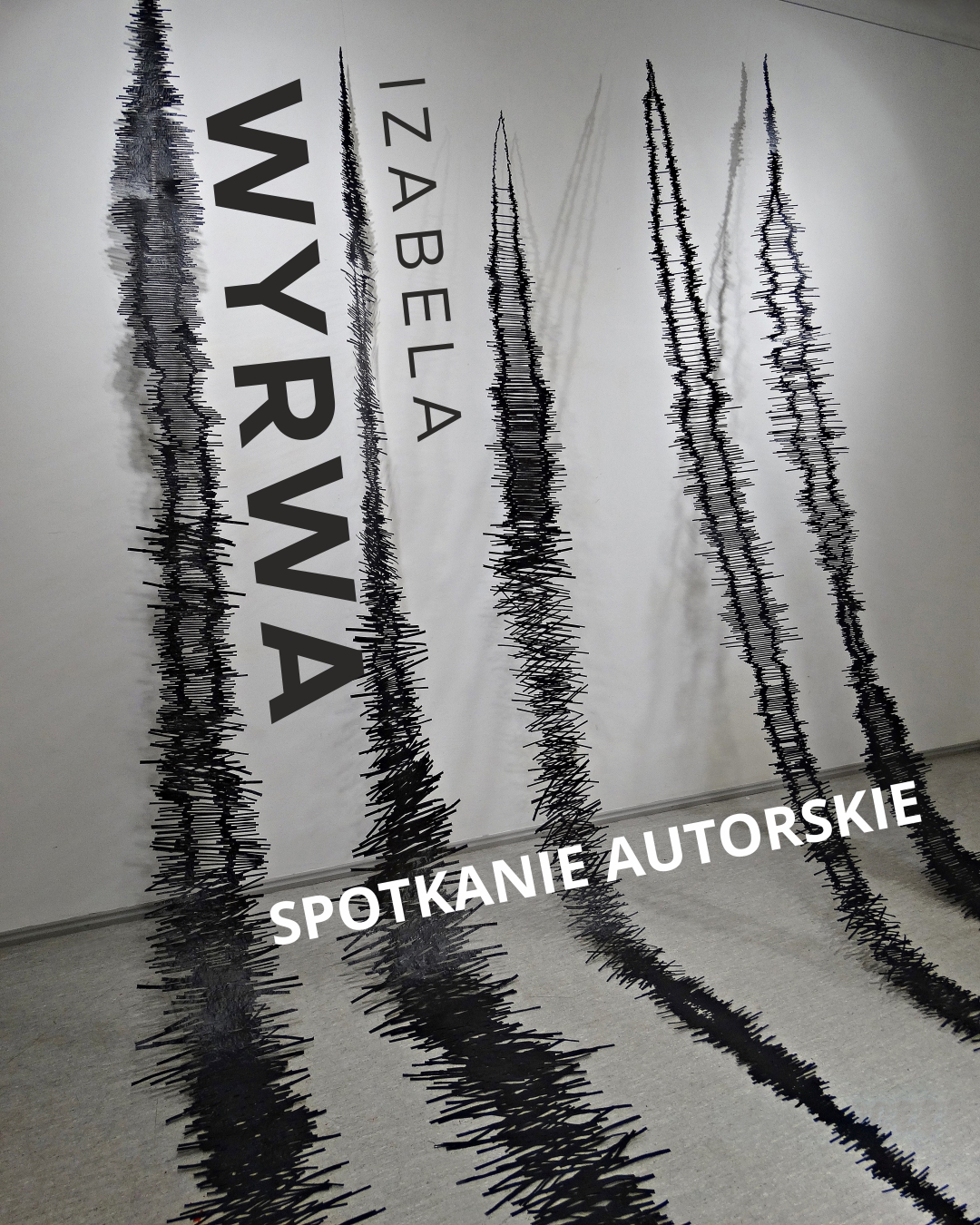 wyrwa_spotkanie.jpg