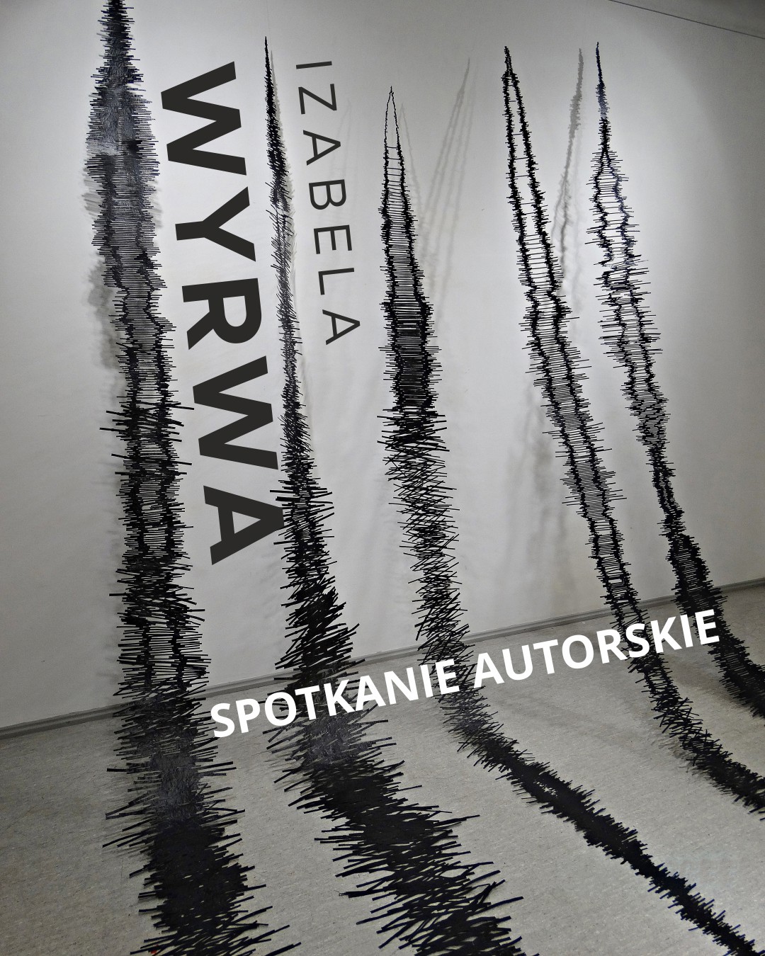 wyrwa_spotkanie.jpg