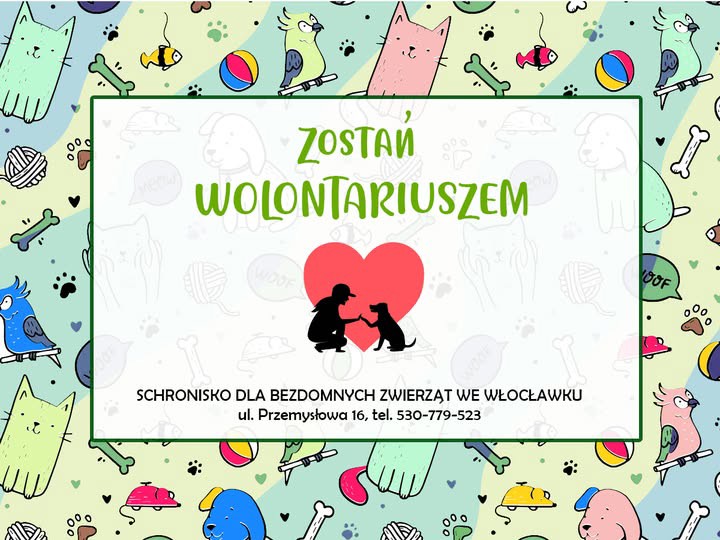 schronisko zostań wolontariuszem.jpg