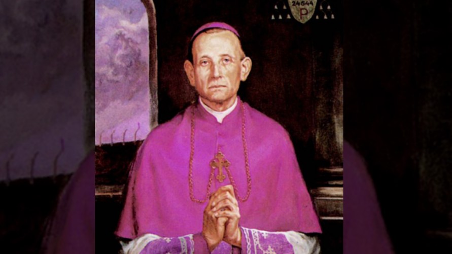 michał kozal.png