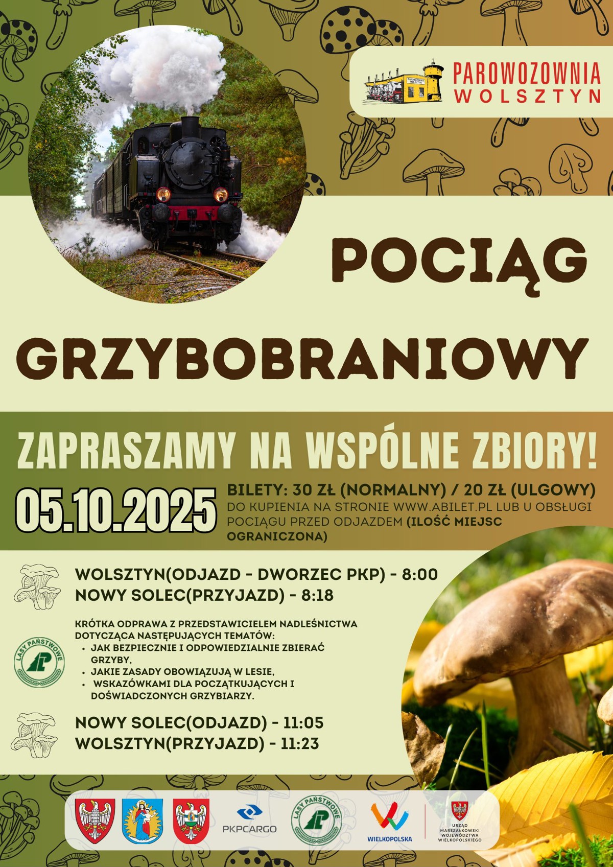 grzyb2.jpg