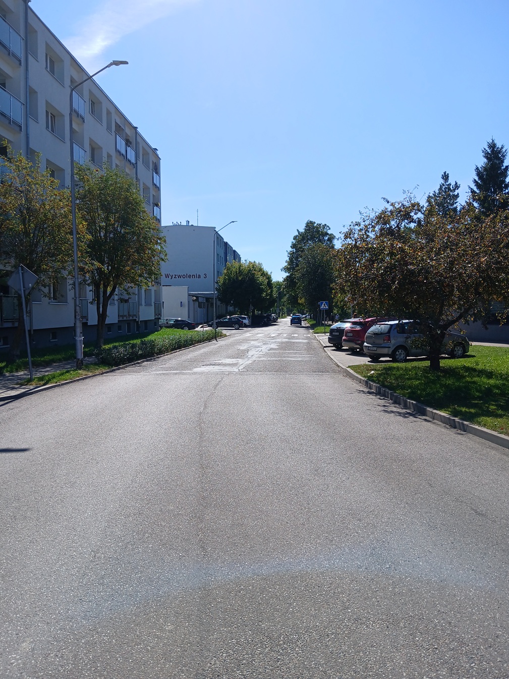 20250904_125428.jpg